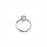 The Gaia Ring Silver